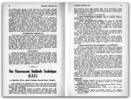 1966 Page 38 39
